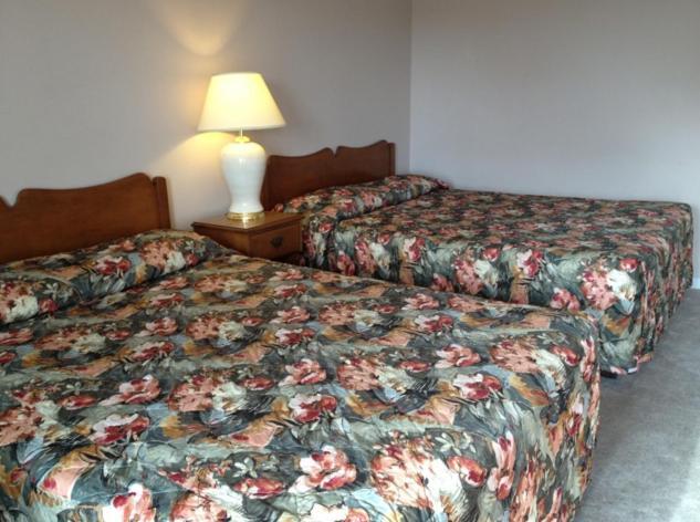 Lotus Motel Cobourg Eksteriør bilde